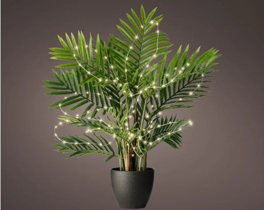 Lumino - Micro LED Plant Lights Steady L80cm
