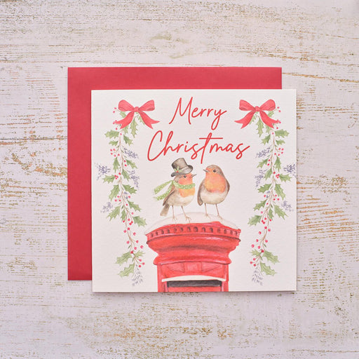 Robin Postbox Christmas Greeting Card