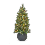 4ft pre-lit Oakridge Spruce entrance Christmas tree with 200 warm white LEDs alternate product view