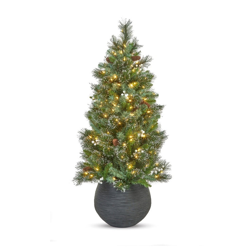 4ft pre-lit Oakridge Spruce entrance Christmas tree with 200 warm white LEDs alternate product view