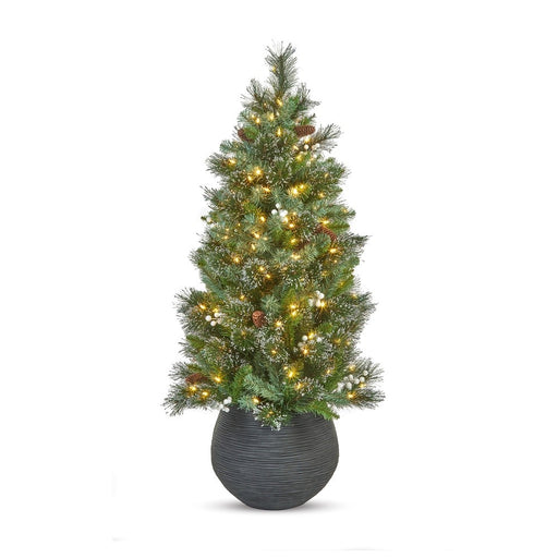4ft pre-lit Oakridge Spruce entrance Christmas tree with 200 warm white LEDs alternate product view