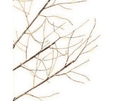 Brown Snow-Finish Micro LED Tree – 180 cm