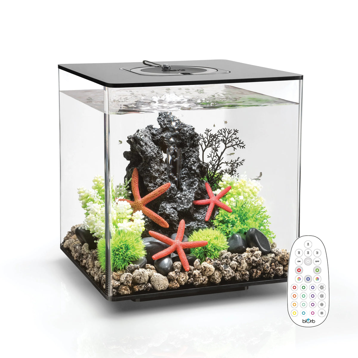 30l sales fish tank