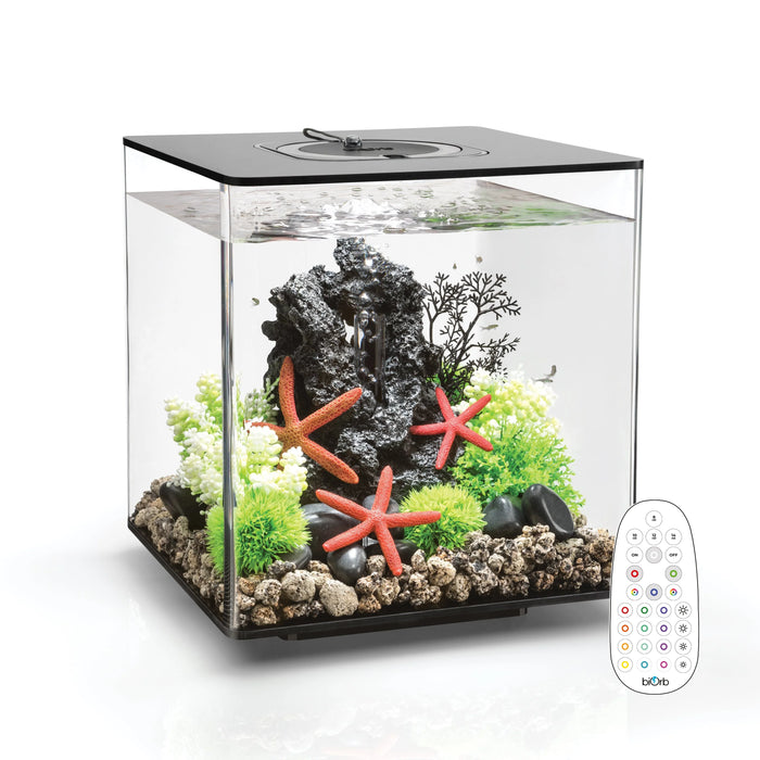 biOrb Cube Aquarium 30 Litre with Multi Colour LED Light-Remote Control Black