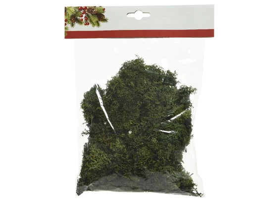 Natural Moss For Nativity Scenes Tillandsia 100g