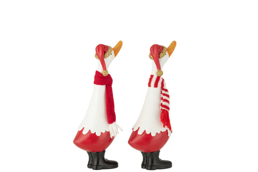 Winter Duck Christmas Decoration - Assorted