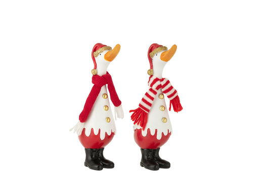 Winter Duck Christmas Decoration - Assorted