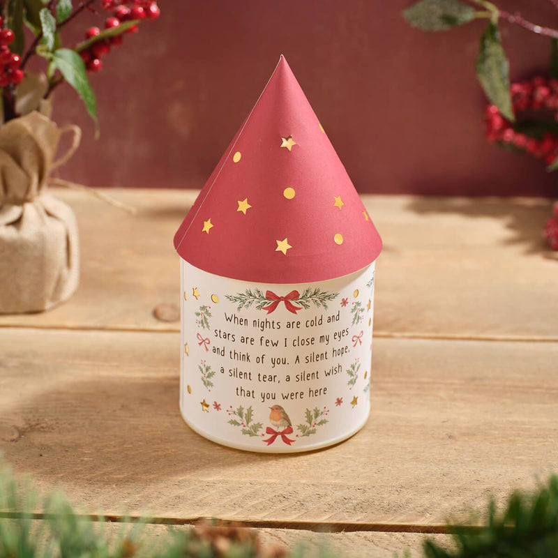 LED Robin Christmas Lantern