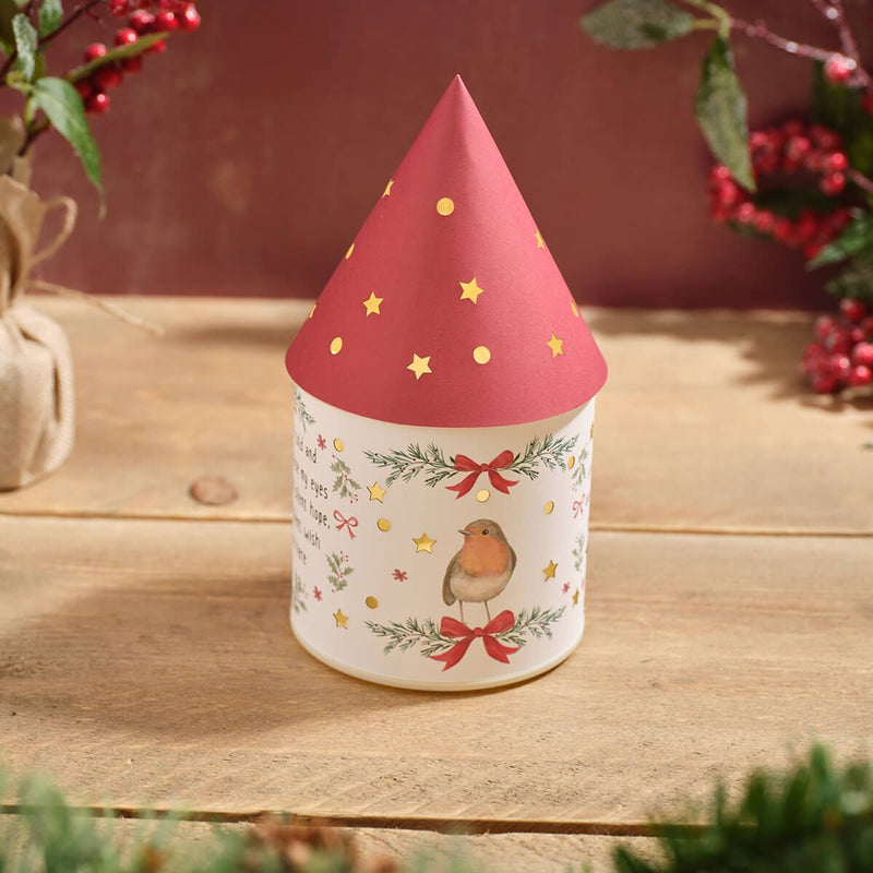 LED Robin Christmas Lantern