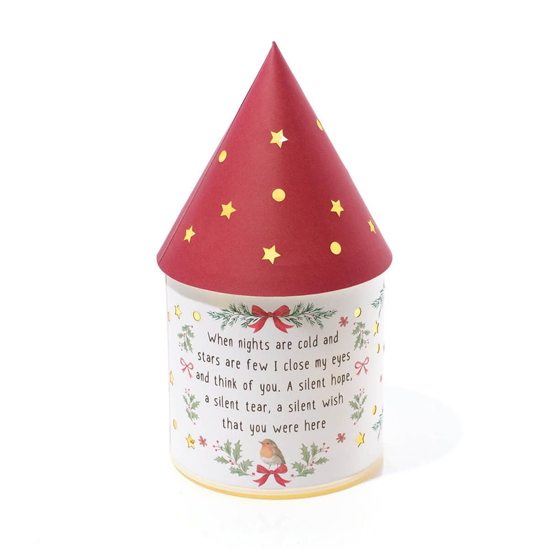 LED Robin Christmas Lantern