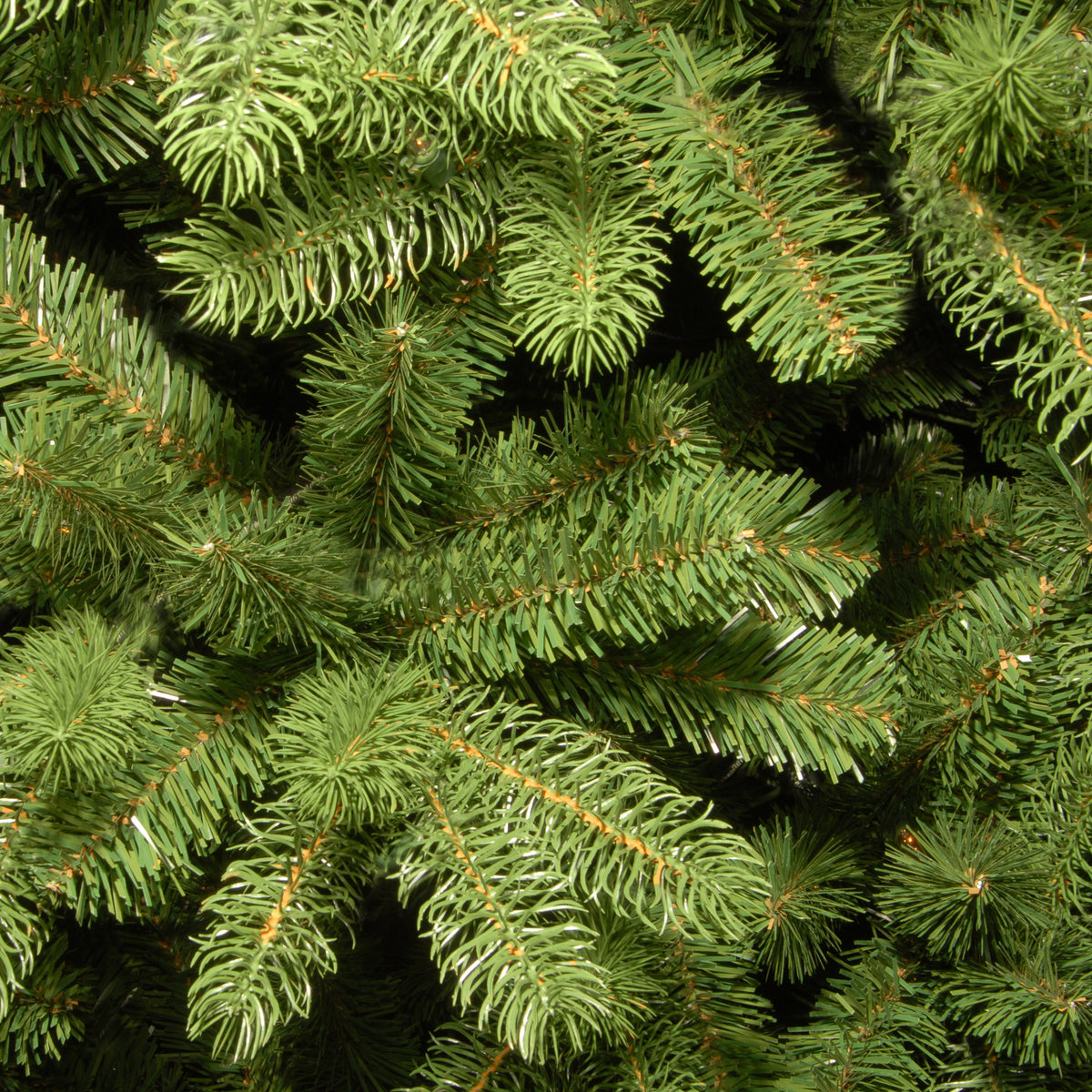 6.5ft Slim Fairmont Cedar artificial Christmas tree with Feel Real PE foliage alternate product view