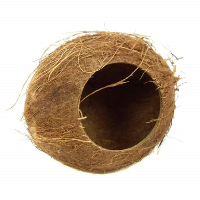 Nature First Coconut Hut 12 cm