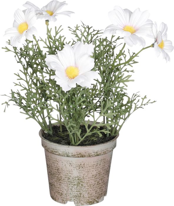 Artificial Daisy in Pot - White (21.5x13cm)