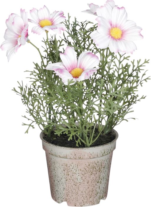 Artificial Daisy in Pot - Pink (21.5x13cm)