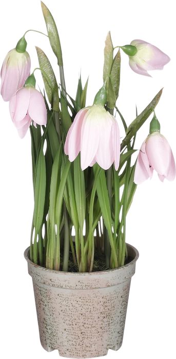 Artificial Fritillaria in Pot - Light Pink (23x12CM)