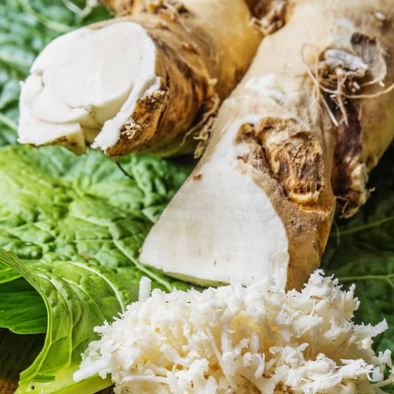 Horseradish