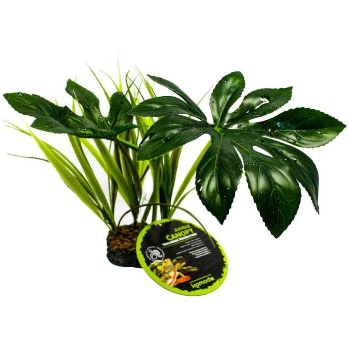 Komodo Jungle Canopy (42 Centimetres)