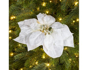 Poinsettia Clip White 24 cm with Glitter Edge