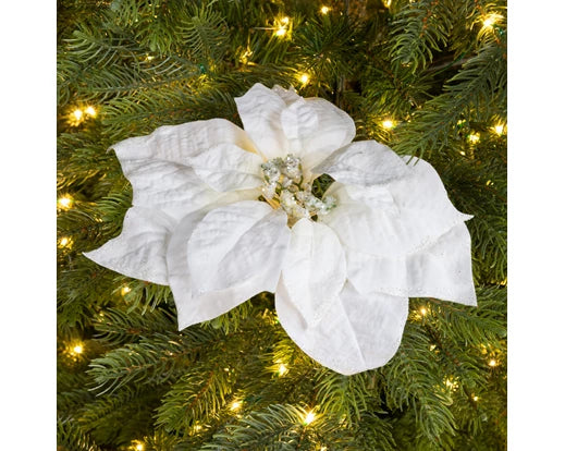 Poinsettia Clip White 24 cm with Glitter Edge