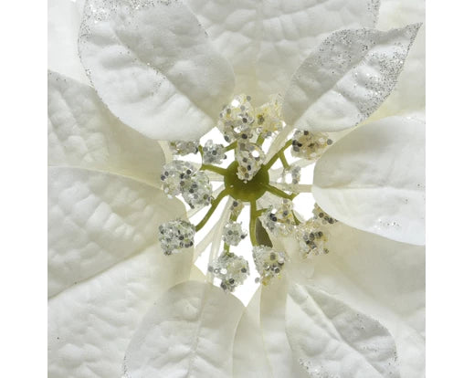 Poinsettia Clip White 24 cm with Glitter Edge