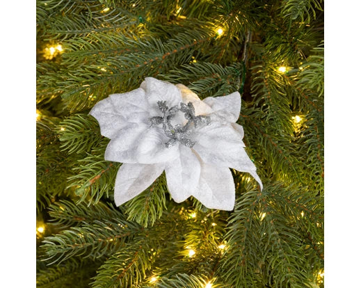 Poinsettia Velvet White on Clip 16 cm