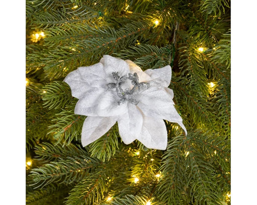 Poinsettia Velvet White on Clip 16 cm
