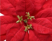 Poinsettia Clip Red 16 cm Velvet