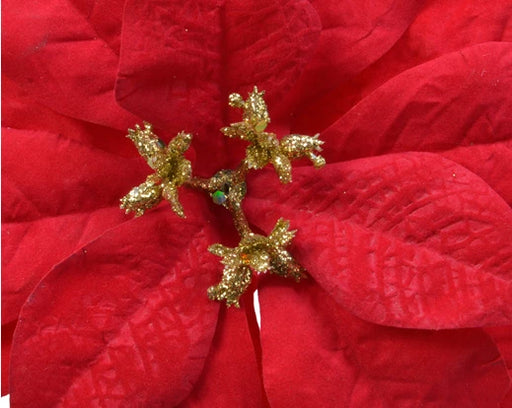 Poinsettia Clip 26 cm Red Polyester Velvet