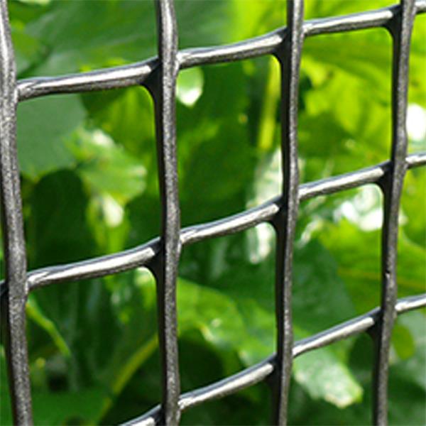 GM Garden & Plant Mesh 5x1m 50mm Green