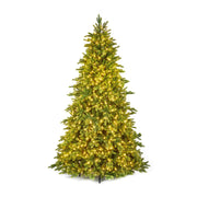 7.5ft pre-lit Westbury Spruce Christmas tree with 800 warm white LEDs alternate product view