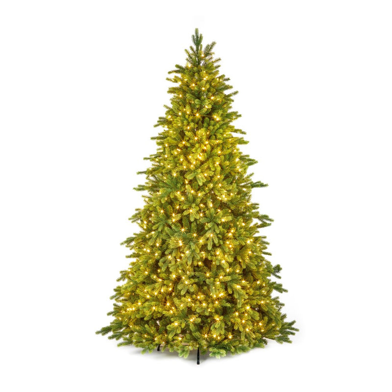 7.5ft pre-lit Westbury Spruce Christmas tree with 800 warm white LEDs alternate product view