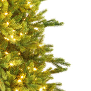 7.5ft pre-lit Westbury Spruce Christmas tree with 800 warm white LEDs alternate product view