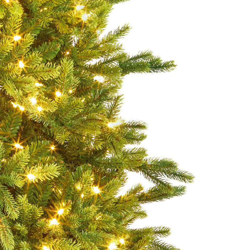 7.5ft pre-lit Westbury Spruce Christmas tree with 800 warm white LEDs alternate product view