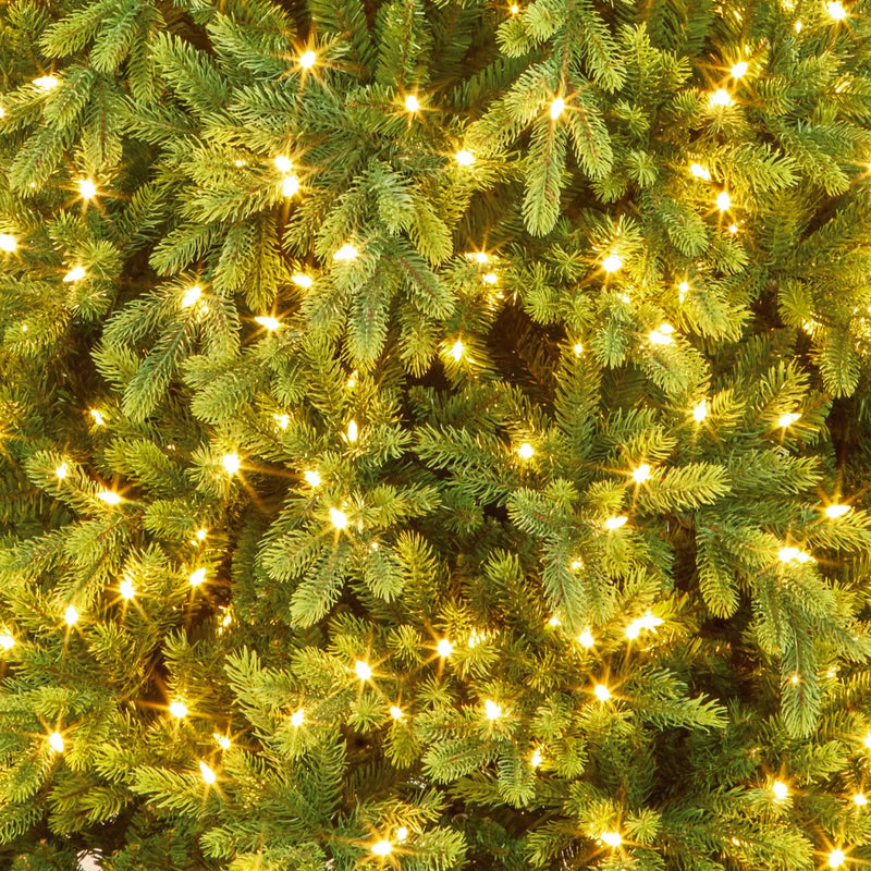 7.5ft pre-lit Westbury Spruce Christmas tree with 800 warm white LEDs alternate product view