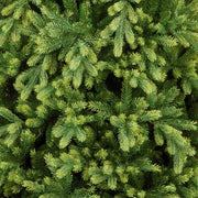 7.5ft Westbury Spruce artificial Christmas tree alternate product view