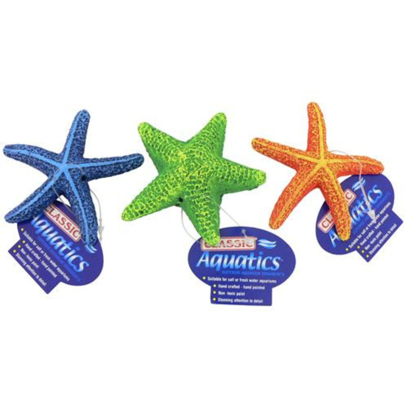 Classic Starfish Assortment (95 × 95 × 25mm)