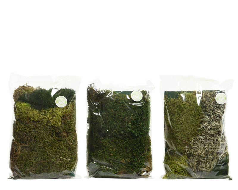 Natural Moss Pack