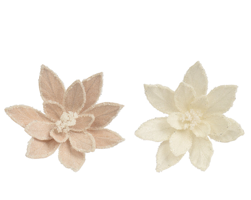 Poinsettia Clip Flower 30 cm Glitter Velvet Assorted Beige White