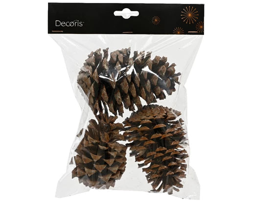Decorative Christmas Pinecone (15x2 cm)