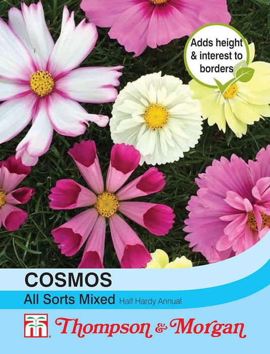 Cosmos 'Candyfloss Mix'