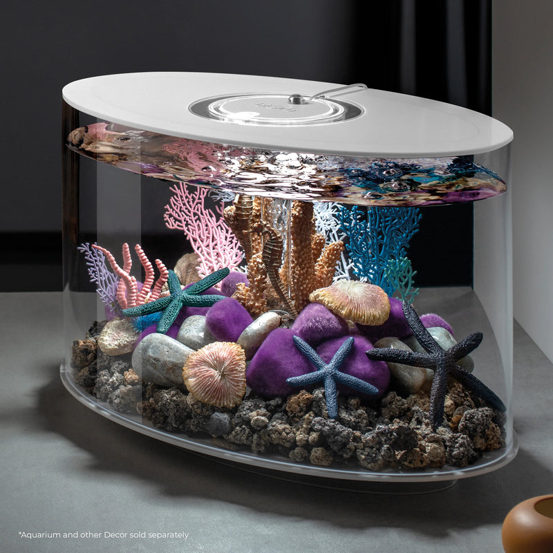 BiOrb coral fans & shells set