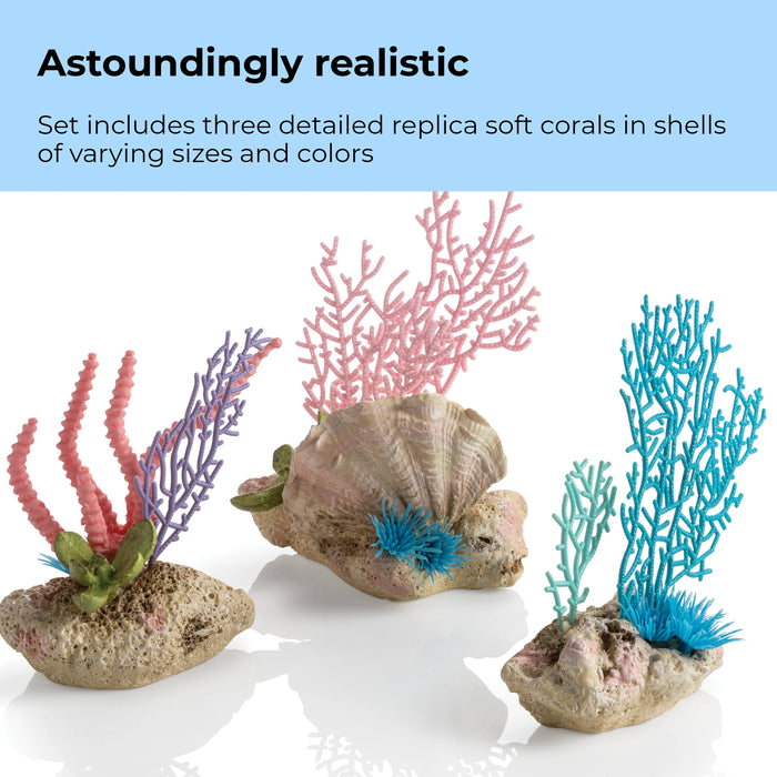 BiOrb coral fans shells set — Newlands Garden Centre
