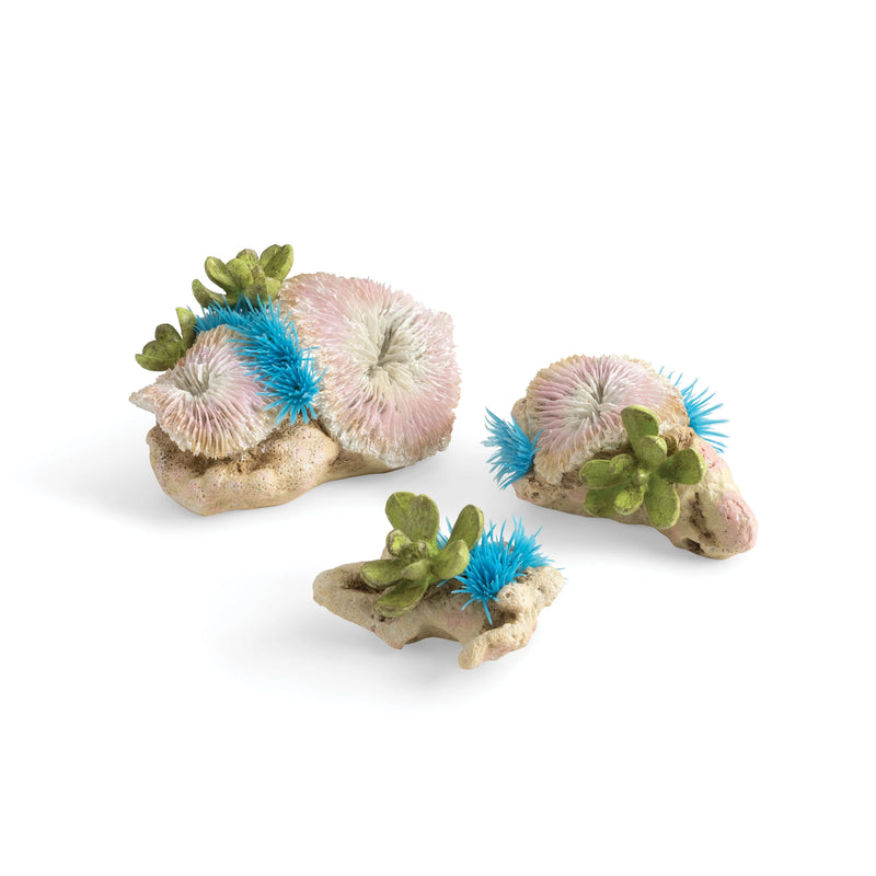 BiOrb Plate Corals & Button Polyps Set