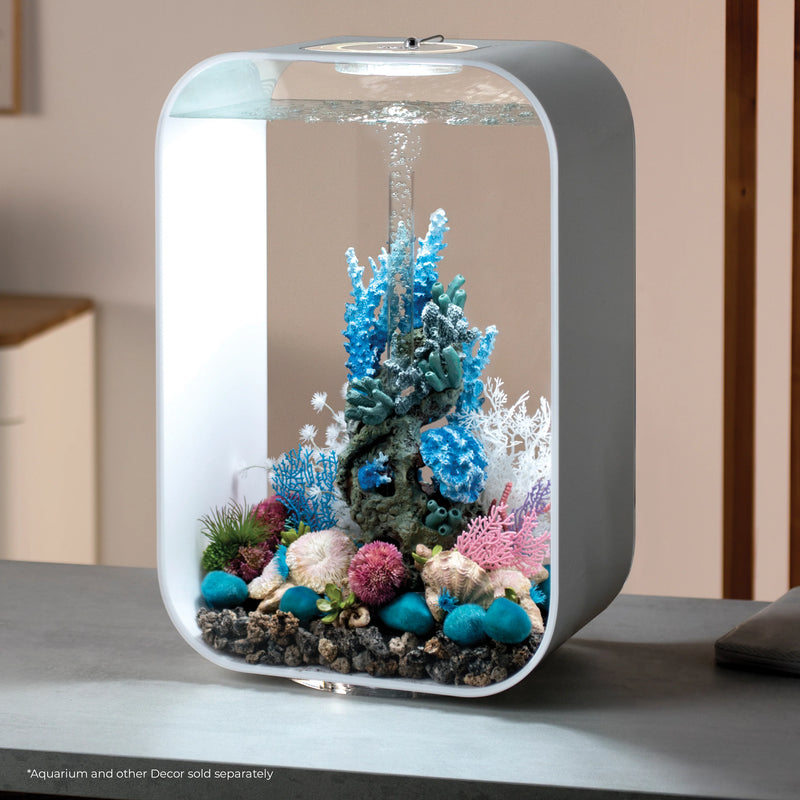 BiOrb Plate Corals & Button Polyps Set