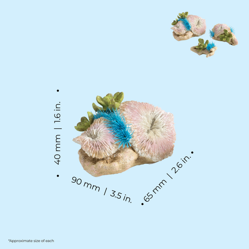 BiOrb Plate Corals & Button Polyps Set