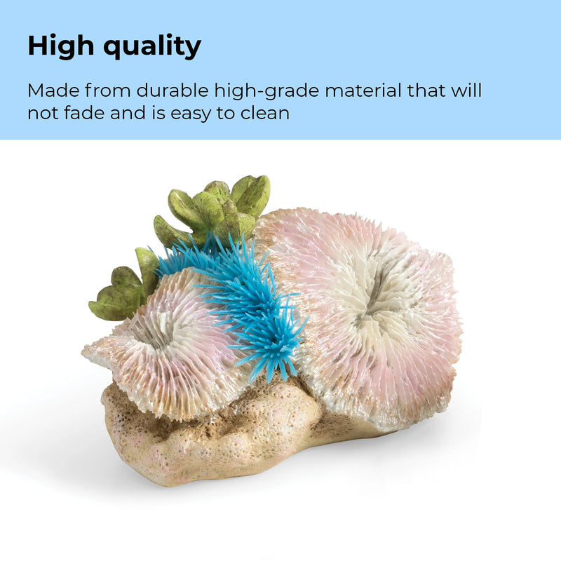 BiOrb Plate Corals & Button Polyps Set