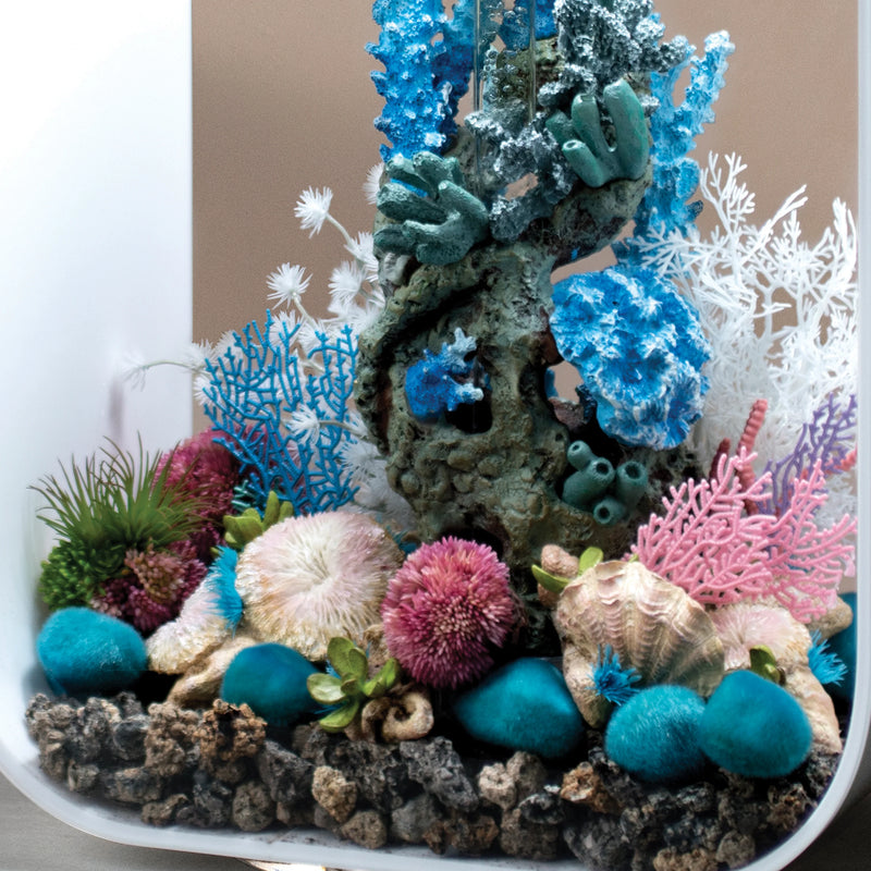 BiOrb Plate Corals & Button Polyps Set