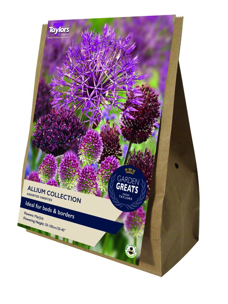 Allium Collection - Garden Greats