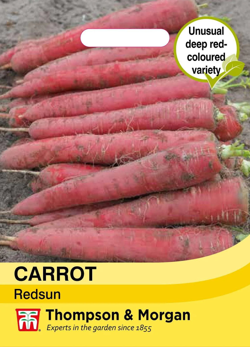 Carrot 'Red Sun' F1 Hybrid (Maincrop)