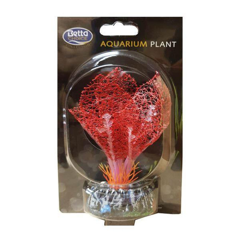 Betta Silk Red Lace Plant (13cm)